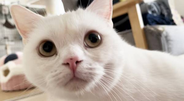 「ちょっとオナラしただけなのに…」　背後を振り返ると？「ごめん爆笑した」「つらい」