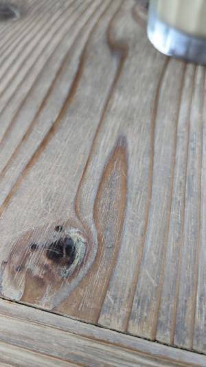 投稿された『謎の写真』よく見ると…　「吹いた」「これは想像以上」