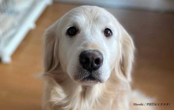 投稿された『謎の写真』よく見ると…　「吹いた」「これは想像以上」