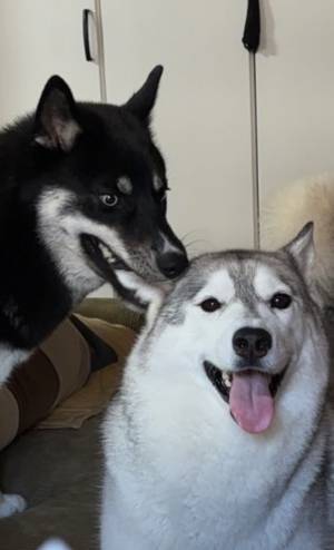 なんで笑顔？　その理由に「すごっ」「我慢するしか」