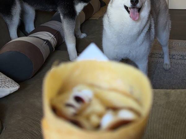 なんで笑顔？　その理由に「すごっ」「我慢するしか」