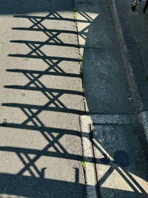 影が作り出していたのは…　まさかの光景に、５万人が吹き出す