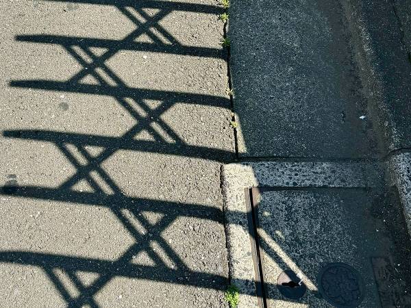 影が作り出していたのは…　まさかの光景に、５万人が吹き出す