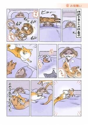 犬の漫画の画像