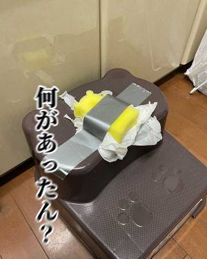 「一体何があった」　１歳児の『お気に入りのスポンジ』が数日後？
