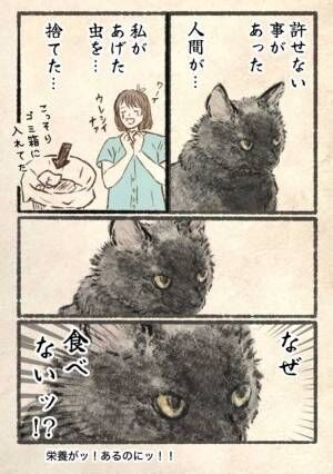 黒猫の『許せないこと』に14万いいね 「笑った」「ごめん、でも勘弁 