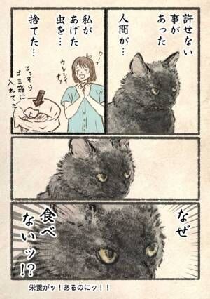 キジネコ様漫画画像