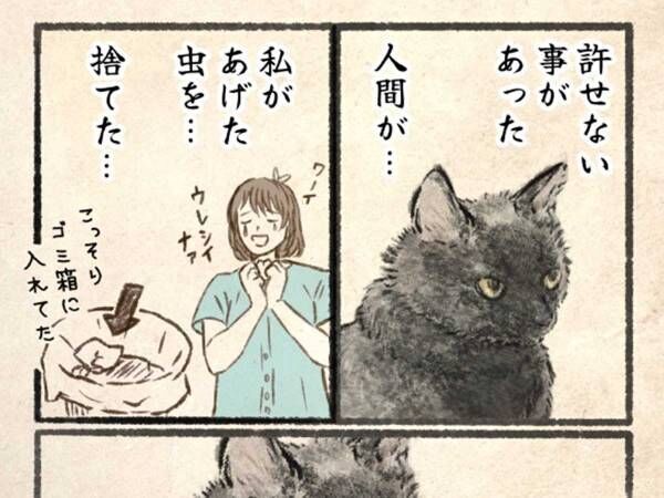 黒猫の『許せないこと』に１４万いいね　「笑った」「ごめん、でも勘弁して」