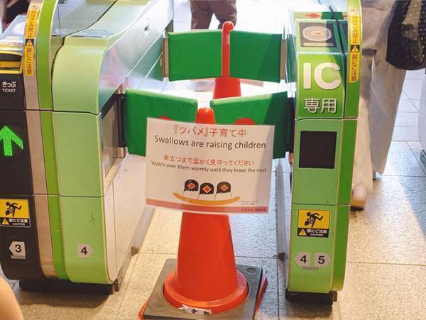 「どうした故障か？」　駅の改札機、封鎖されていると思ったら？