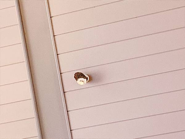 「どうした故障か？」　駅の改札機、封鎖されていると思ったら？