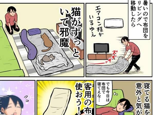 布団を占拠した猫に対する飼い主の行動　結末に「愛が深い！」「あるある」