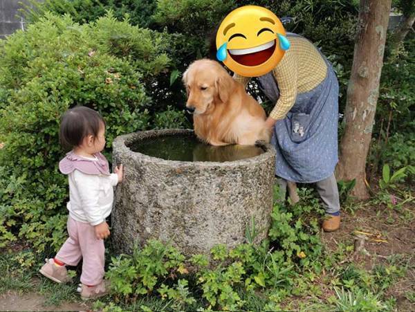 飼い主「やめてええええ」　風呂だと思って浸かったのが？