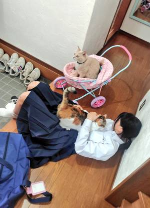 玄関で倒れる女の子　起き上がれないワケに「これは仕方がない」