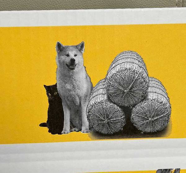 親戚に米を送ろうとしたら？　手に入れた『箱』に「何これ最高すぎる」