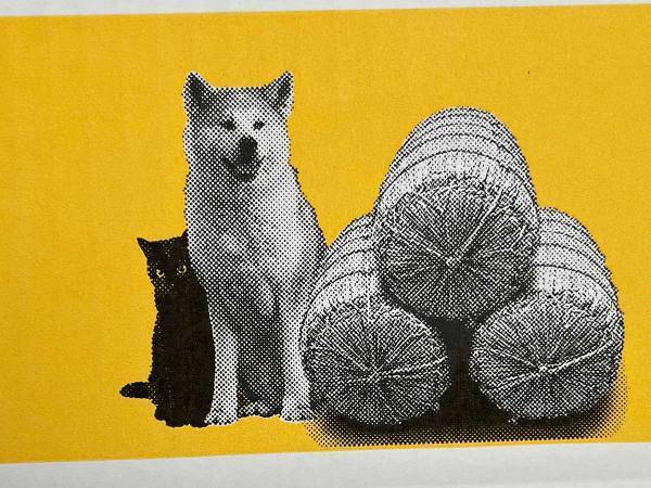 親戚に米を送ろうとしたら？　手に入れた『箱』に「何これ最高すぎる」