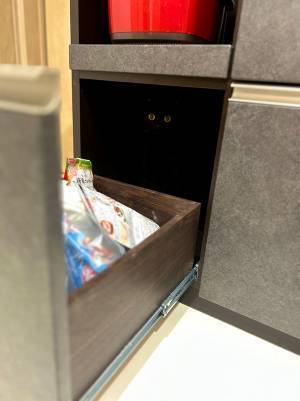 引き出しを開けると　猫の行動に「二度見するやつ」