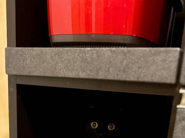 引き出しを開けると　猫の行動に「二度見するやつ」