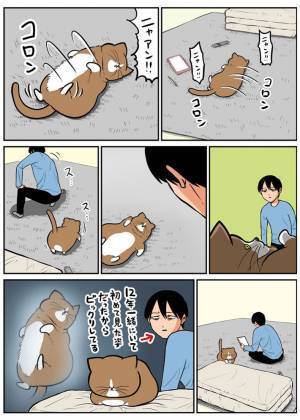 突然転がり出した猫　途中で見せた『顔』に「こんなん笑うわ」「中におじさんいるな？」