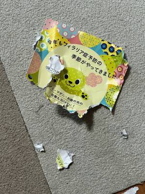 飼い主「お前…絶対に文字読めてるだろ」　病院からのハガキを見つけた犬が？