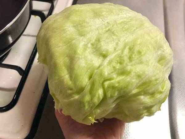 食べる手が止まらない！　レタスの意外な食べ方に「今夜はこれに決まり！」