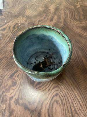 ジュースを飲んだ後、湯のみを置いておくと？　田舎での出来事に「最高じゃねえか」「声出た」