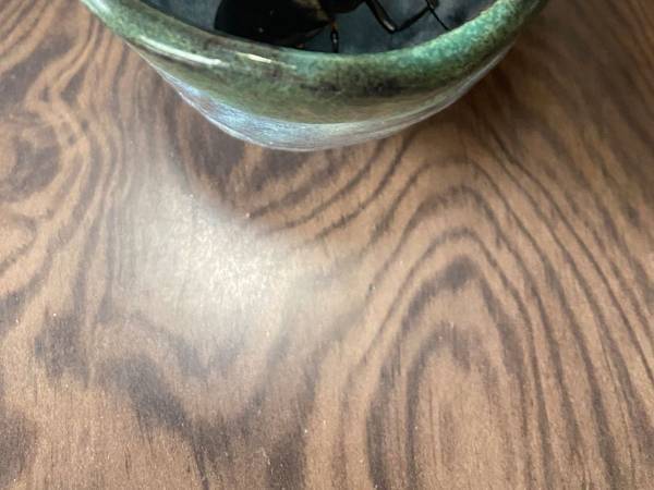 ジュースを飲んだ後、湯のみを置いておくと？　田舎での出来事に「最高じゃねえか」「声出た」