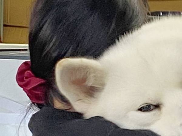 職場で甘える『大きな赤ちゃん』　その正体に「ここが天国か」「そこ代わって！」