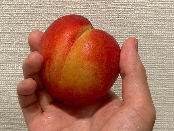 桃のうぶ毛を取りたい！　JAの回答に「この手があったか」