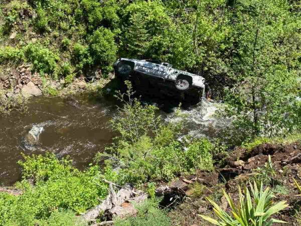 男性と犬が乗った車が谷底に転落！　ケガをした犬が向かった『場所』は…？