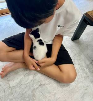 子猫とひと晩離れたら？　見せた行動に「ずるい」「こんな姿…」