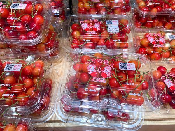 おいしいサクランボの見分け方は？　JAの回答に「知らなかった」