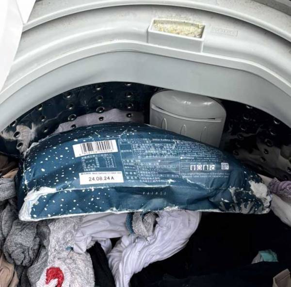 洗濯機の中をのぞくと…？　写真に「そうはならんやろ」「これは泣いていい」