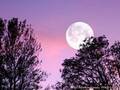 ストロベリームーンがもうすぐ！　特別な満月といわれるワケが…？