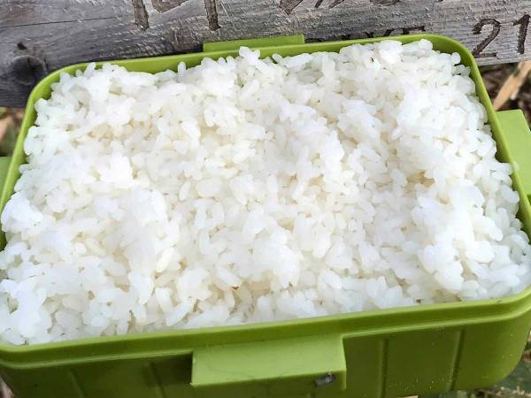 『ご飯だけ』の弁当に６万いいね！　その理由に「これはずるい」「じわじわくる」