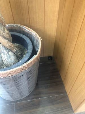 朱肉ケースに２４万『いいね』が集まったわけが？　「今日イチ笑った」「これはツボ」