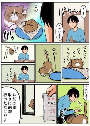 やたら飼い主のニオイを嗅ぐ猫　警戒したワケに「察しがいい」