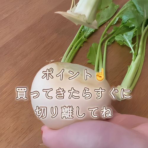 「捨てるのもったいない！」　カブの葉の可能性に「必ず使います」