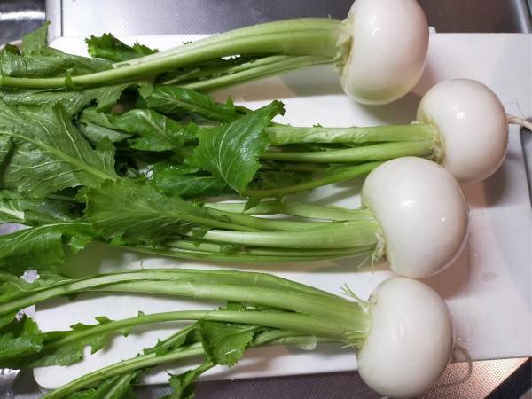 「捨てるのもったいない！」　カブの葉の可能性に「必ず使います」