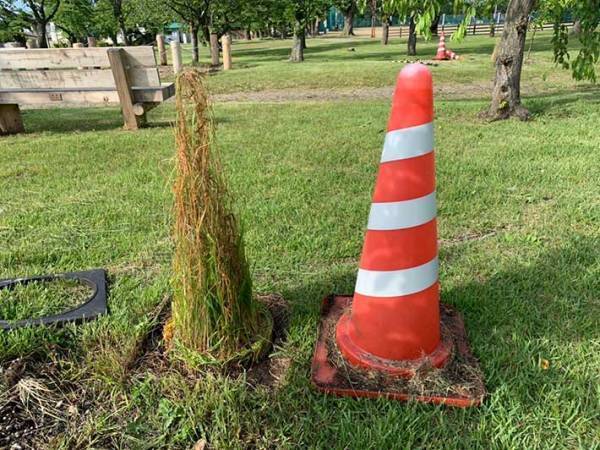 「三角コーンを置きすぎた結果」に１１万いいね　「吹いた」「こんなの初めて見たぞ」