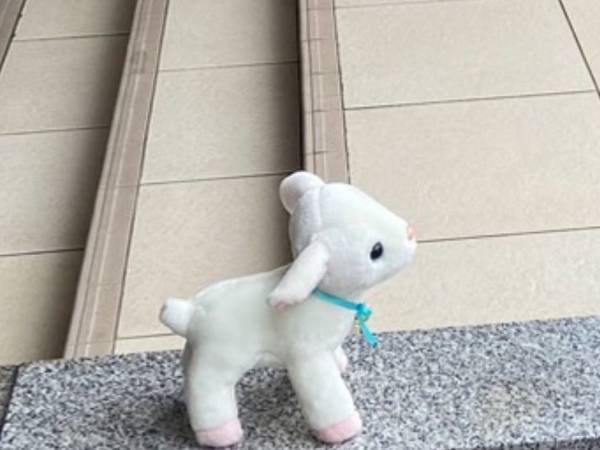 ３歳娘が失くしたぬいぐるみ　目にした光景に「日本も捨てたもんじゃない」