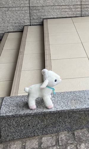 ３歳娘が失くしたぬいぐるみ　目にした光景に「日本も捨てたもんじゃない」