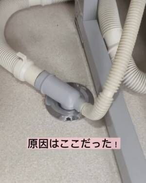 洗濯機の排水口