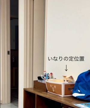 国語の教科書がないと思ったら…　見つけた場所に「笑った」「温められている」