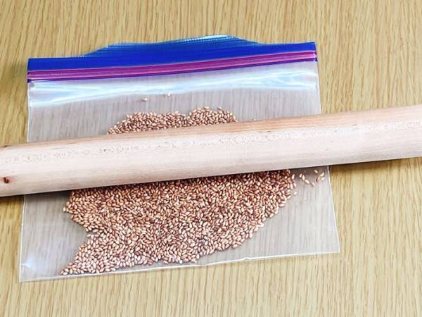 すり鉢を使わずに『すりごま』を作る裏技に「捨てなくてよかった！」