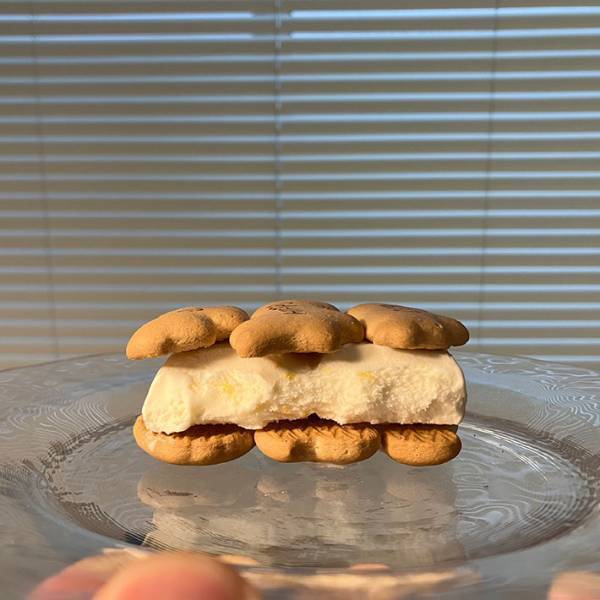 家にあったアイスを挟むと？『激うまビスケットアイス』に「やってみたい！」