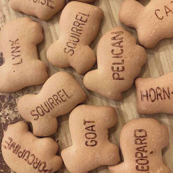 家にあったアイスを挟むと？『激うまビスケットアイス』に「やってみたい！」