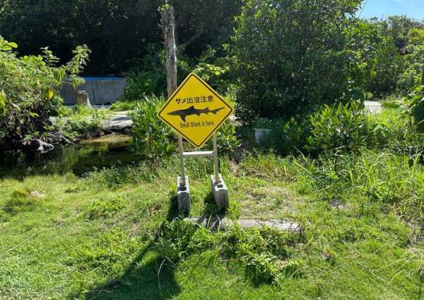 『サメ出没注意』の看板、恐るおそる池を見ると…？　「ここは日本か？」「吹いた」