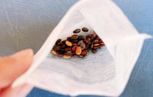 いつも捨ててたスイカの種　JAの情報に「驚いた！」