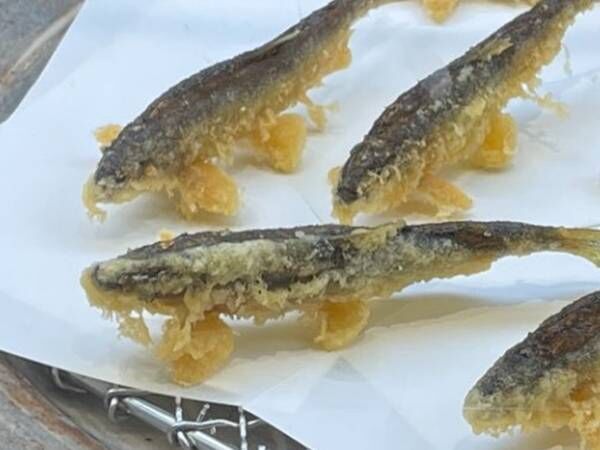 これは食べられない…　店で見つけた『魚の天ぷら』に衝撃！