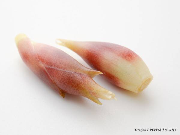 ミョウガタケは、茎が〇〇色のものを選んで！　JAの回答に「知らなかった」